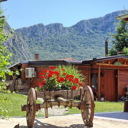 Konak -Guest House -Ramonda Serbika Nis Luaran gambar