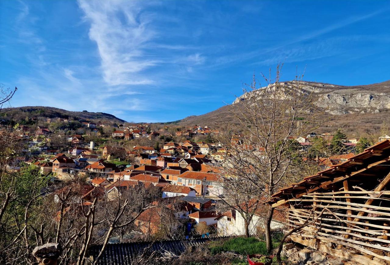 Konak -Guest House -Ramonda Serbika Nis Luaran gambar