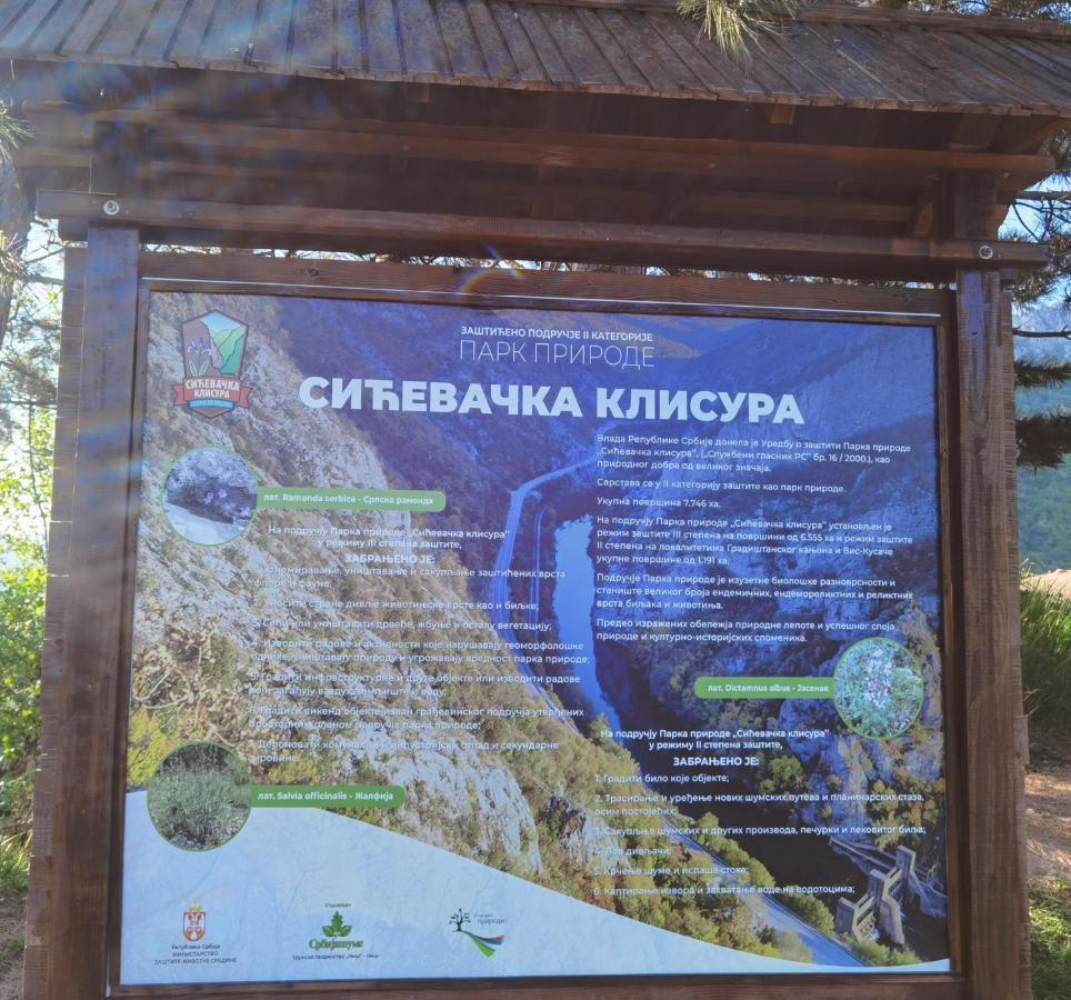 Konak -Guest House -Ramonda Serbika Nis Luaran gambar