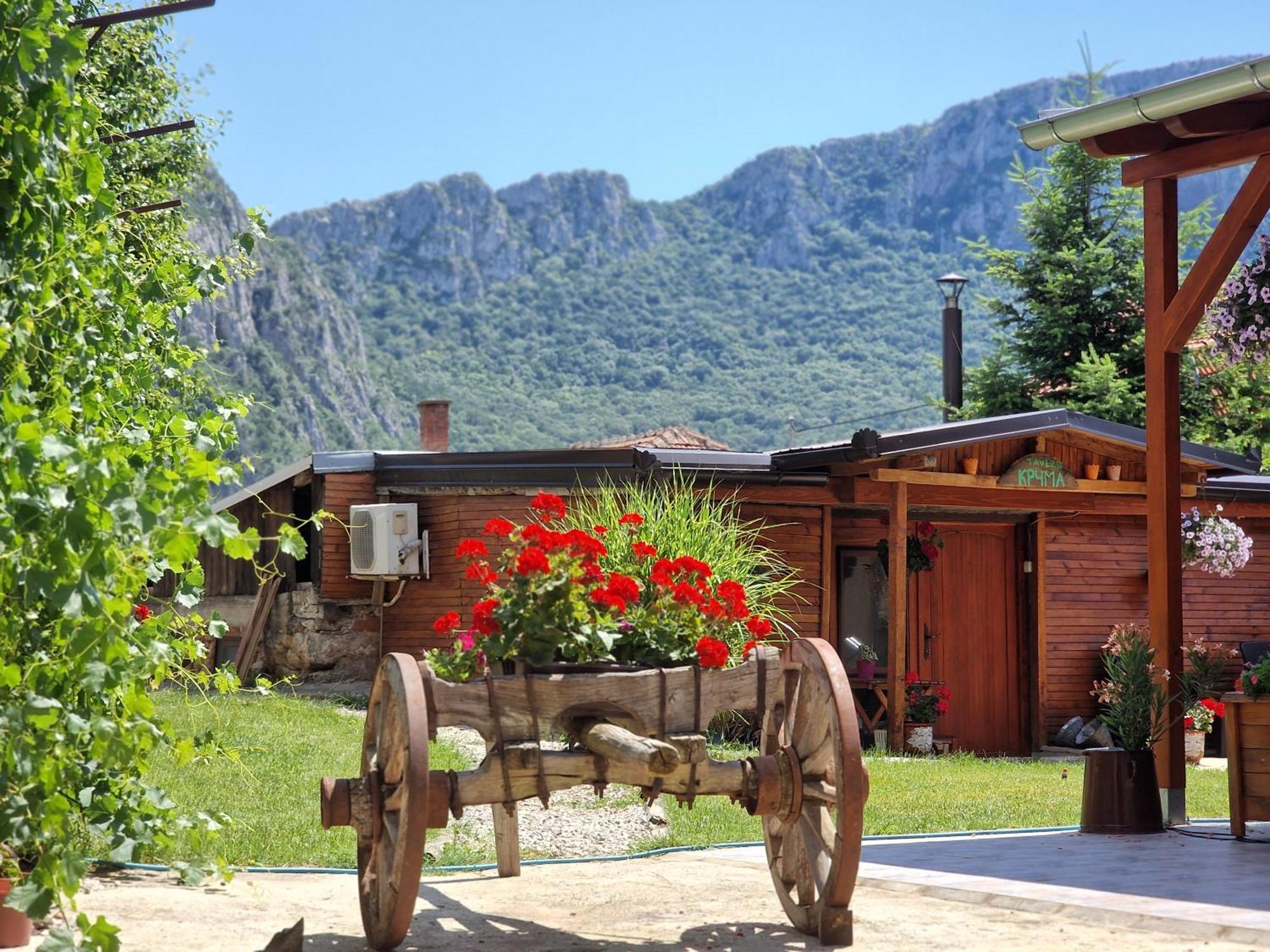 Konak -Guest House -Ramonda Serbika Nis Luaran gambar